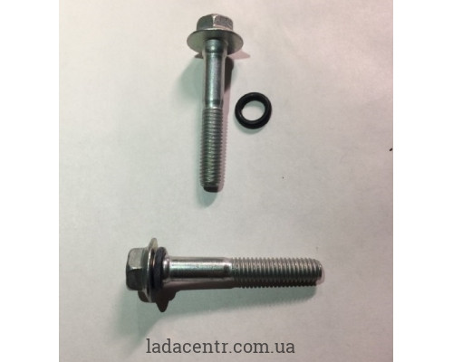 Гвинт кріплення заглушки розподільного валу ВАЗ 2111 БелЗАН