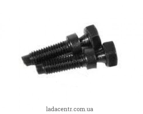Болт замка зажигания ВАЗ 1118,2108,2109,2110 (обламывающийся) БелЗАН