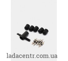 Комплект камеры (5 золотников + 5 колпачков+ ключ метчик) САМЗАЗ